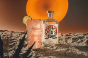 Read more about the article Der wahre Drive steckt im Geschmack