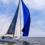 Omega 42 – große Freiheit auf offener See